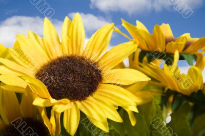Artificial flowers