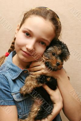 Yorkshire terrier