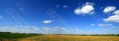 Spring panorama 1