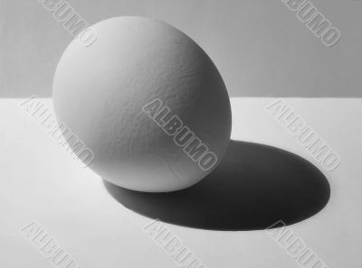 macro egg
