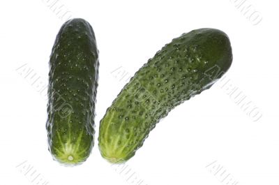 two green cucumbers