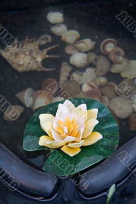 Small decorative pond