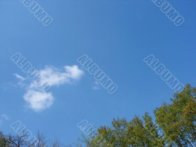 Landscape with the sky. Background