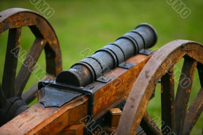 Medieval gun