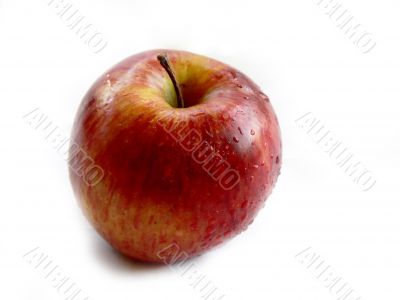Red apple