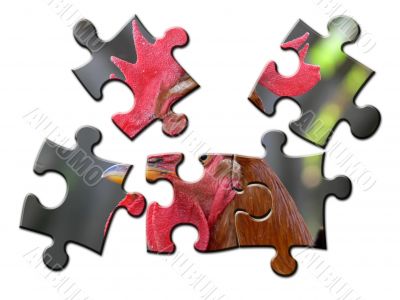 colored puzzle