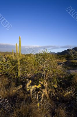 Sunset on island Margarita, Venezuela