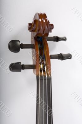 Violin