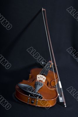 Violin