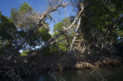 Laguna de le Restinga