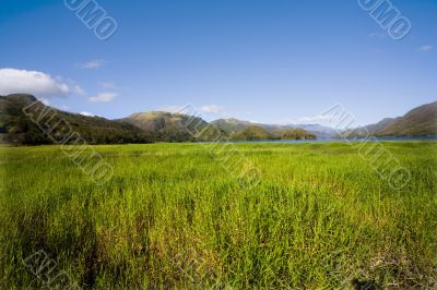 mountains, hills, meadow