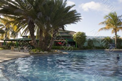 Pool, palm