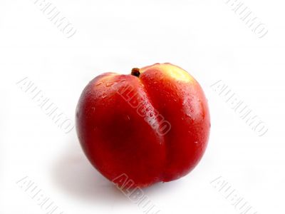 Fruit - nectarine