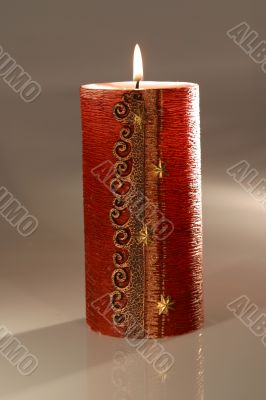 Under the christmas tree