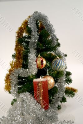 Under the christmas tree