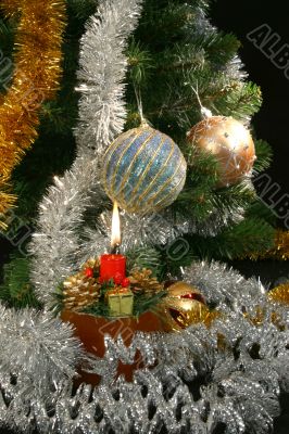 Under the christmas tree