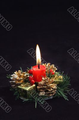 Under the christmas tree