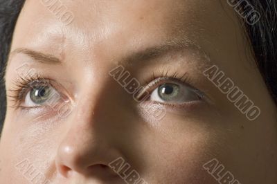 body, color, cornea, eye, eyeball, eyebrows