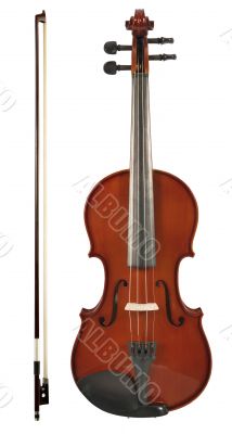 Violin