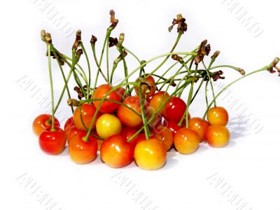 Cherries