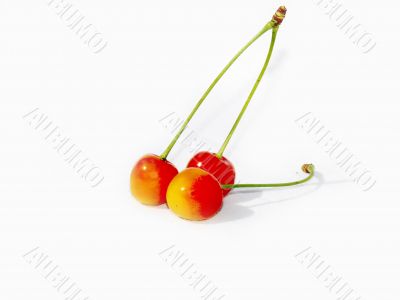 Cherries