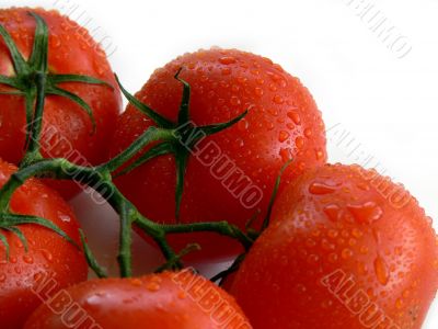 Tomatoes