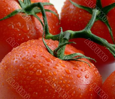 Tomatoes