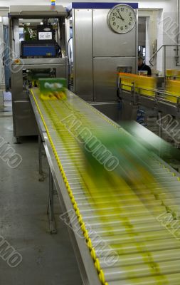 Production  wine, juice and drink