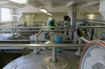 Production  wine, juice and drink