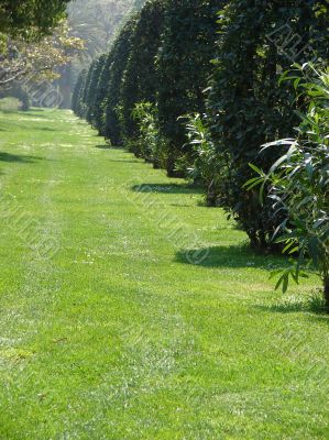 Morning in park ` De la Ciutadella`. Barcelona