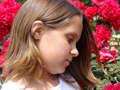 The girl in roses