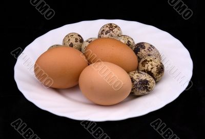 Plate with eggs