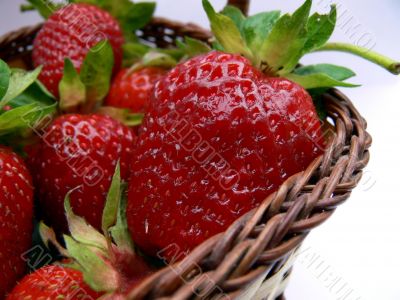 Strawberry basket