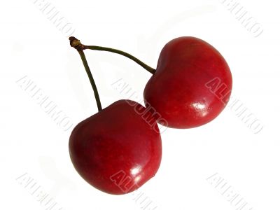 Cherry