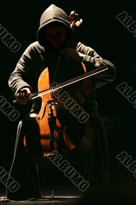 Violin
