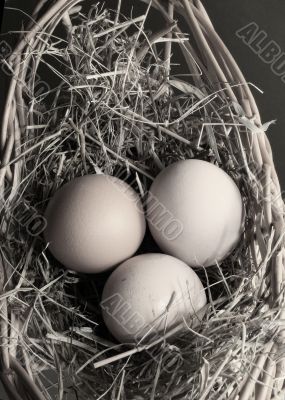 Three eggs