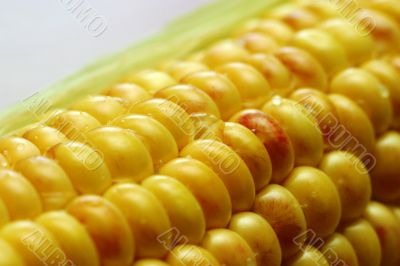 Wet corn