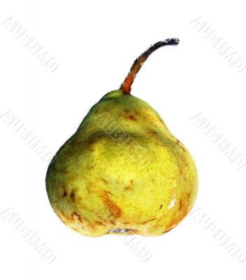 pear on a white background
