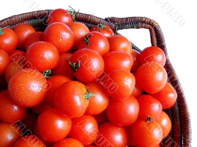 Tomatoes