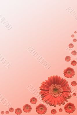 Card with flowers