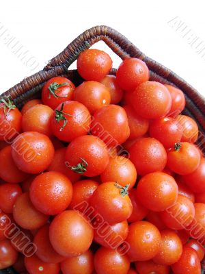 Tomatoes