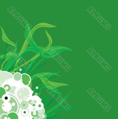 flower background dark