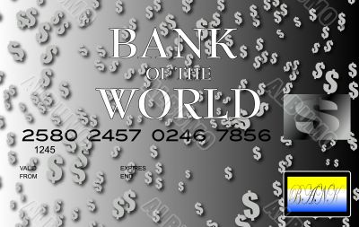 dollar credit card silver