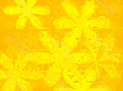 petal yellow