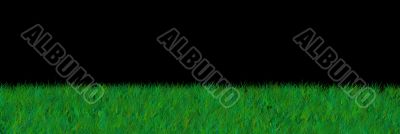 grass on black