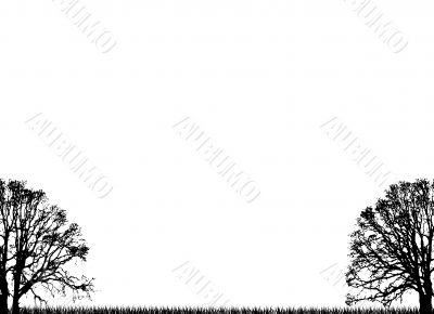 plain trees