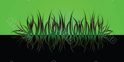 grass reflect green