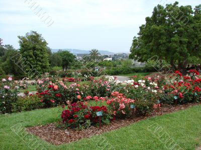 Rosary-Parc.  Barcelona