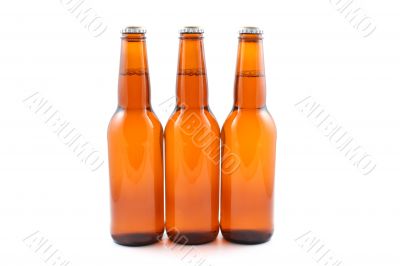 three bottles of beer isolated on white
