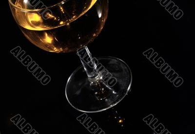 Cup of wine